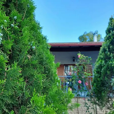 Contessina House Villa Zakynthos Exterior photo