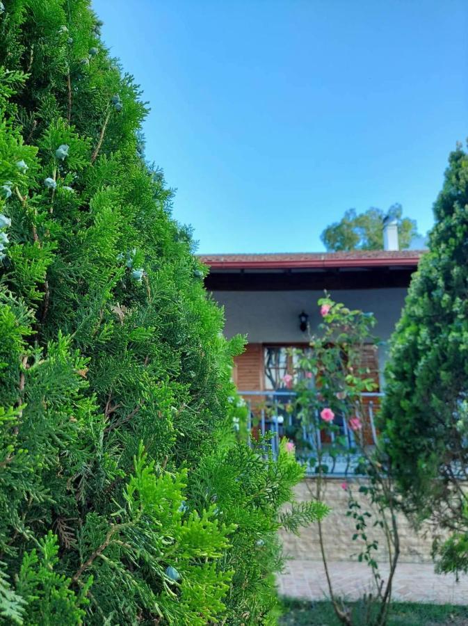 Contessina House Zakynthos Town